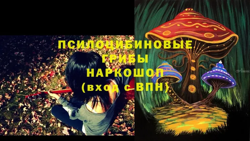 Псилоцибиновые грибы Magic Shrooms  МЕГА рабочий сайт  Менделеевск 